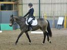 Image 165 in BECCLES AND BUNGAY RC. DRESSAGE 14 JAN. 2018