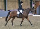 Image 173 in BECCLES AND BUNGAY RC. DRESSAGE 14 JAN. 2018