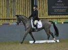 Image 184 in BECCLES AND BUNGAY RC. DRESSAGE 14 JAN. 2018