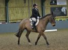 Image 25 in BECCLES AND BUNGAY RC. DRESSAGE 14 JAN. 2018