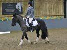 Image 52 in BECCLES AND BUNGAY RC. DRESSAGE 14 JAN. 2018