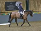 Image 59 in BECCLES AND BUNGAY RC. DRESSAGE 14 JAN. 2018