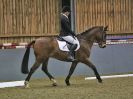 Image 8 in BECCLES AND BUNGAY RC. DRESSAGE 14 JAN. 2018