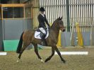Image 9 in BECCLES AND BUNGAY RC. DRESSAGE 14 JAN. 2018