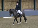 Image 93 in BECCLES AND BUNGAY RC. DRESSAGE 14 JAN. 2018
