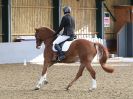 Image 140 in BECCLES AND BUNGAY RC. DRESSAGE. 11 FEB. 2018