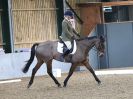 Image 163 in BECCLES AND BUNGAY RC. DRESSAGE. 11 FEB. 2018