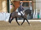 Image 174 in BECCLES AND BUNGAY RC. DRESSAGE. 11 FEB. 2018