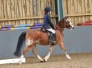 Image 73 in BECCLES AND BUNGAY RC. DRESSAGE. 11 FEB. 2018