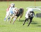 Image 2 in 4TH. WCRA CHAMPIONSHIPS 2013 MORETON IN MARSH.