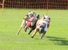 Image 46 in 4TH. WCRA CHAMPIONSHIPS 2013 MORETON IN MARSH.
