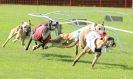 Image 49 in 4TH. WCRA CHAMPIONSHIPS 2013 MORETON IN MARSH.