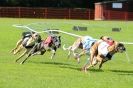 Image 50 in 4TH. WCRA CHAMPIONSHIPS 2013 MORETON IN MARSH.