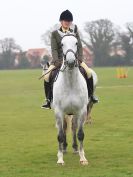 Image 127 in IPSWICH HORSE SOCIETY SPRING SHOW. 2 APRIL 2018