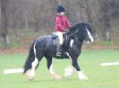 Image 136 in IPSWICH HORSE SOCIETY SPRING SHOW. 2 APRIL 2018