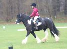 Image 138 in IPSWICH HORSE SOCIETY SPRING SHOW. 2 APRIL 2018