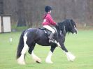 Image 139 in IPSWICH HORSE SOCIETY SPRING SHOW. 2 APRIL 2018