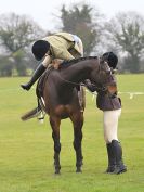 Image 148 in IPSWICH HORSE SOCIETY SPRING SHOW. 2 APRIL 2018