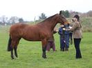 Image 15 in IPSWICH HORSE SOCIETY SPRING SHOW. 2 APRIL 2018