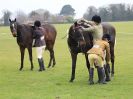 Image 154 in IPSWICH HORSE SOCIETY SPRING SHOW. 2 APRIL 2018