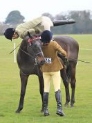 Image 155 in IPSWICH HORSE SOCIETY SPRING SHOW. 2 APRIL 2018