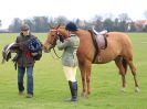 Image 156 in IPSWICH HORSE SOCIETY SPRING SHOW. 2 APRIL 2018