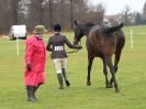 Image 159 in IPSWICH HORSE SOCIETY SPRING SHOW. 2 APRIL 2018