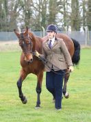 Image 16 in IPSWICH HORSE SOCIETY SPRING SHOW. 2 APRIL 2018