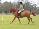 Image 166 in IPSWICH HORSE SOCIETY SPRING SHOW. 2 APRIL 2018