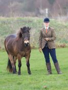 Image 17 in IPSWICH HORSE SOCIETY SPRING SHOW. 2 APRIL 2018