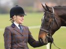 Image 173 in IPSWICH HORSE SOCIETY SPRING SHOW. 2 APRIL 2018