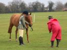 Image 174 in IPSWICH HORSE SOCIETY SPRING SHOW. 2 APRIL 2018