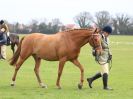 Image 176 in IPSWICH HORSE SOCIETY SPRING SHOW. 2 APRIL 2018