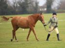 Image 177 in IPSWICH HORSE SOCIETY SPRING SHOW. 2 APRIL 2018