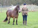 Image 18 in IPSWICH HORSE SOCIETY SPRING SHOW. 2 APRIL 2018