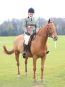 Image 181 in IPSWICH HORSE SOCIETY SPRING SHOW. 2 APRIL 2018