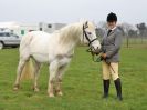 Image 186 in IPSWICH HORSE SOCIETY SPRING SHOW. 2 APRIL 2018