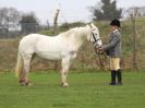 Image 189 in IPSWICH HORSE SOCIETY SPRING SHOW. 2 APRIL 2018