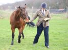 Image 190 in IPSWICH HORSE SOCIETY SPRING SHOW. 2 APRIL 2018