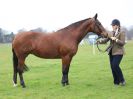 Image 191 in IPSWICH HORSE SOCIETY SPRING SHOW. 2 APRIL 2018