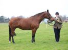 Image 192 in IPSWICH HORSE SOCIETY SPRING SHOW. 2 APRIL 2018