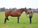 Image 193 in IPSWICH HORSE SOCIETY SPRING SHOW. 2 APRIL 2018