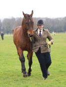 Image 194 in IPSWICH HORSE SOCIETY SPRING SHOW. 2 APRIL 2018