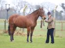 Image 195 in IPSWICH HORSE SOCIETY SPRING SHOW. 2 APRIL 2018