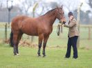 Image 196 in IPSWICH HORSE SOCIETY SPRING SHOW. 2 APRIL 2018