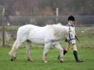 Image 197 in IPSWICH HORSE SOCIETY SPRING SHOW. 2 APRIL 2018