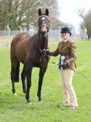 Image 44 in IPSWICH HORSE SOCIETY SPRING SHOW. 2 APRIL 2018