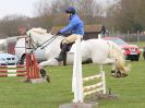 Image 54 in IPSWICH HORSE SOCIETY SPRING SHOW. 2 APRIL 2018