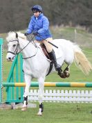 Image 59 in IPSWICH HORSE SOCIETY SPRING SHOW. 2 APRIL 2018