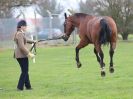 Image 6 in IPSWICH HORSE SOCIETY SPRING SHOW. 2 APRIL 2018